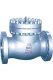 API Swing Check Valve (2)