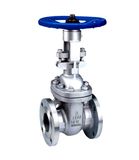 American Standards Gate Valve