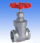 Globe Valve