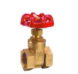 Gate Valve