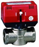 Hot Sale 2 Way Motorized Valves 110V (CKF7315T-110)