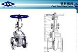 Cast Steel Gate Valve (004)