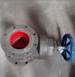 Gr2 Globe Valve