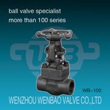 800# Female Threaded Forged Steel A105 OS&Y Gate Valve