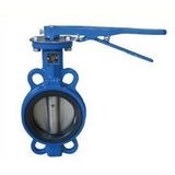 Wafer Center Line Butterfly Valve