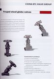 Globe Valve