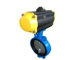 Pneumatic Butterfly Valve All Torque Controls