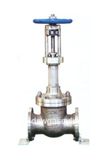 Cryogenic Safety Valve for LNG