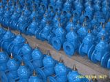 Gate Valve