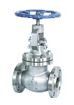 Stainless Steel Globe Valve