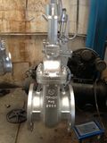 JIS10k Carbon Steel A216 Gate Valve