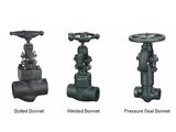 Forged Steel Globe Valve (RF, NPT. BW)