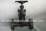 API 602 Forged Steel A105 Flanged Globe Valve