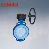 Lined Butterfly Valve (DN40-DN1200)