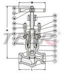 Flange Global Valve (J41H -1500LB)