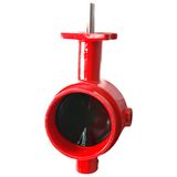 Grooved End Butterfly Valve (RBV040C)