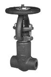 Forged Steel Gate Valve