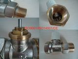 Thermostatic Radiator Straight Valve Dn25