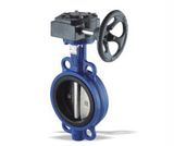 Butterfly Valve