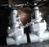 Thread Forged Steel Gate Valve