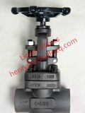 Female Thread and Socket Welded Globe Valve