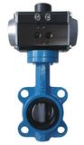 Butterfly Valve with Pneumatic Actuator