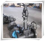 Forged Steel Long Stem Cryogenic Globe Valve (J47H)