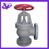 Cast Iron Screw Down Check Angle Valve (JIS F7376 10K80)