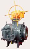 Pig Valve