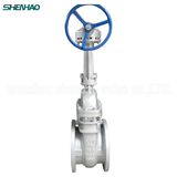 API 600 Cryogenic Gate Valve (Z40Y)