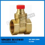 Brass OS Y Water Gate Valve (BW-G09)