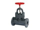 UPVC Globe Valve