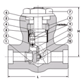 Forged Pressure Seal Swing Check Valve (LIFC3010)