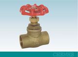 Gate Valve (CH204)