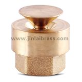 Brass Spray Valve (JL-021) 