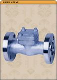 Check Valve-02