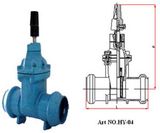 Cast Iron/Ductile Iron Gate Valve - 1