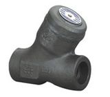 Y-Type Weld Bonnet Check Valve