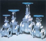 Steel Valves (HS-V-002)