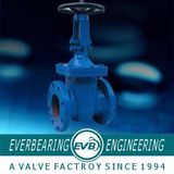 Gate Valve (GTV-067-B)