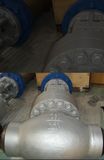 Globe Valve (10