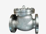 Swing Check Valve