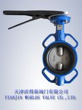 Double Shaft Wafer Butterfly Valve (D7A1X-10/16)