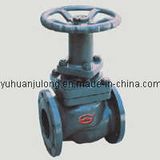 Cast Stainless Steel Cast Iron Piston Gate Valve