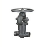 Forged Steel Pressure Seal Globe Valve