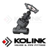 Y Globe Valve (Forged Steel)