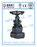 API 602 Forged Steel Globe Valve (J11H)