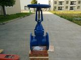 RS Gate Valve