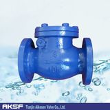 Swing Check Valve in Cast Iron Body