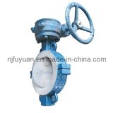 PTFE Lined Butterfly Valve D371